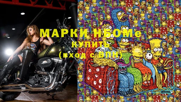 шишки Балабаново