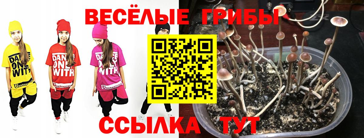 Псилоцибиновые грибы мухоморы Белая Калитва