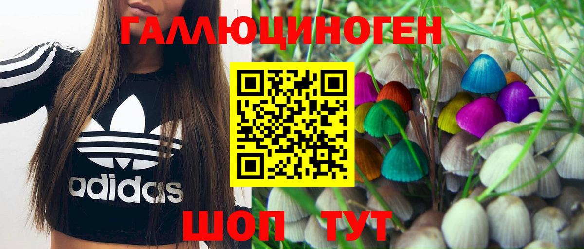 Белая Калитва  Галлюциногенные грибы Psilocybe  купить наркотики цена  Вход с VPN 