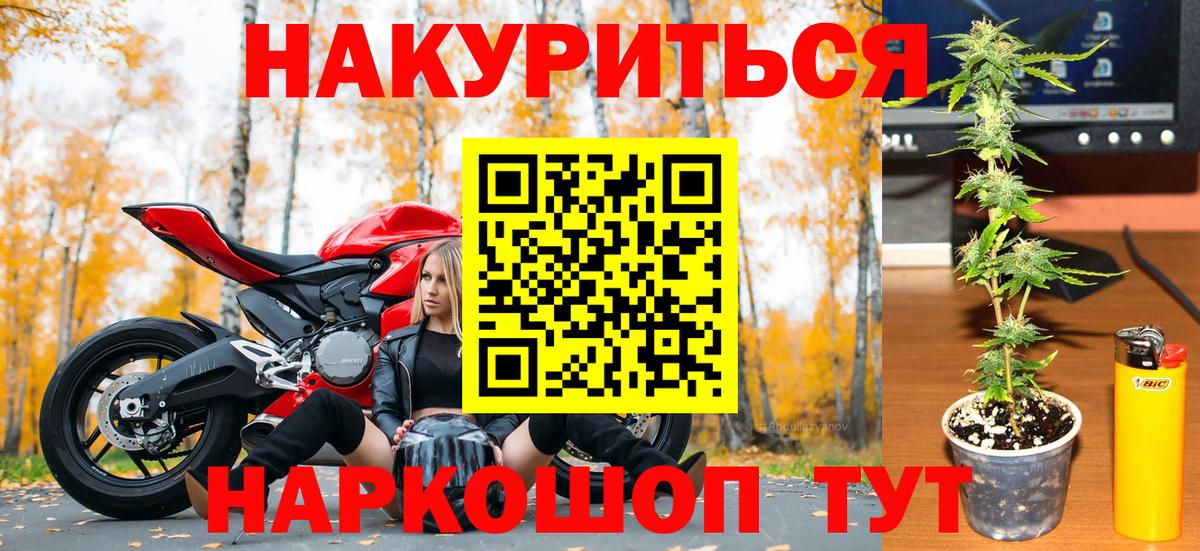 Конопля ГИДРОПОН  Канабис White Widow  Вход с VPN  Шишки марихуана Bruce Banner  Белая Калитва 